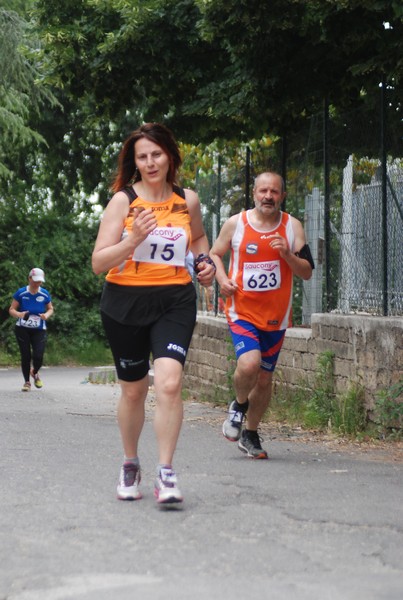 Maratonina di Villa Adriana (CCRun) (29/05/2016) 00201