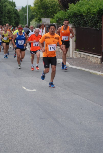 Maratonina di Villa Adriana (CCRun) (29/05/2016) 00149