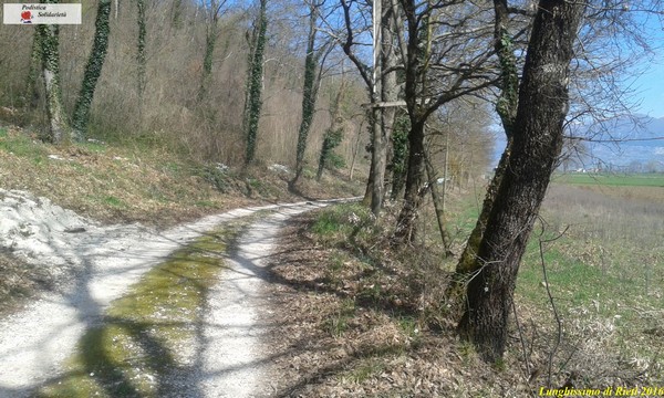 Lunghissimo di Rieti.... Aspettando la Maratona (20/03/2016) 00044