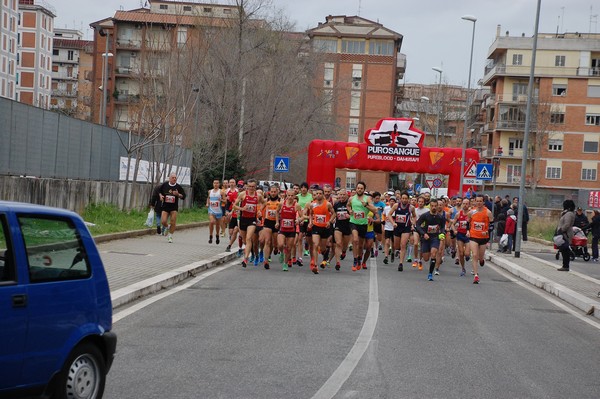 Corriamo al Collatino (TOP) (28/02/2016) 00017