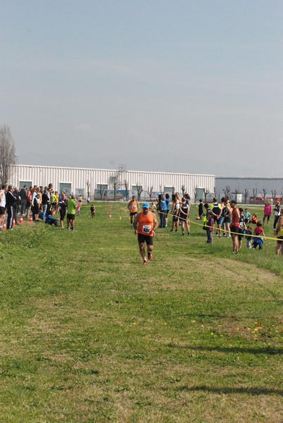 Cross Valle del Tevere (20/03/2016) 00146