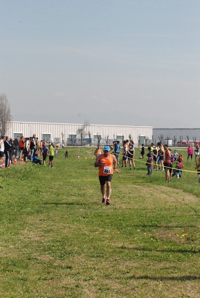 Cross Valle del Tevere (20/03/2016) 00152