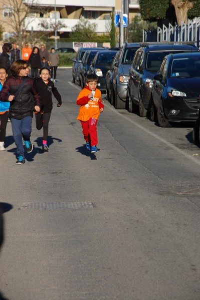 Maratonina di S.Alberto Magno (12/11/2016) 00075