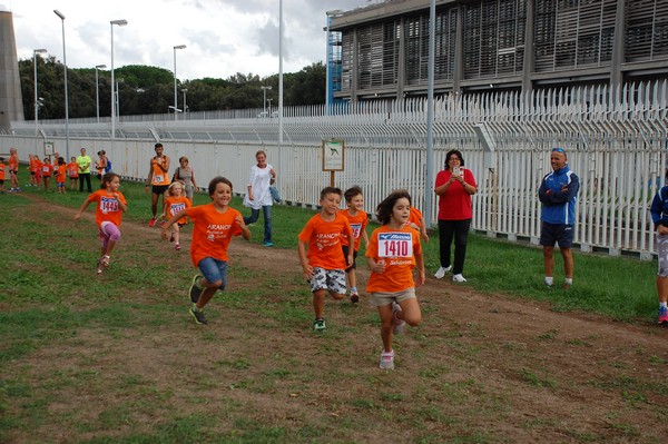 Trofeo Podistica Solidarietà (TOP,CE) (18/09/2016) 00090