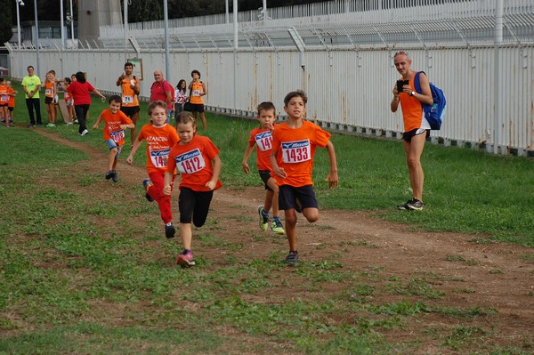 Trofeo Podistica Solidarietà (TOP,CE) (18/09/2016) 00106