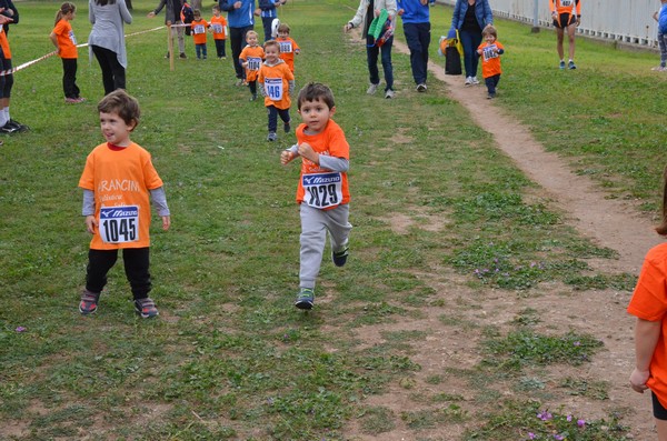 Trofeo Arancini Podistica Solidarietà  (29/10/2017) 00010