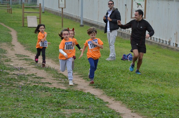 Trofeo Arancini Podistica Solidarietà  (29/10/2017) 00043