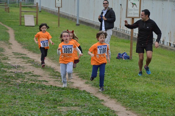 Trofeo Arancini Podistica Solidarietà  (29/10/2017) 00044