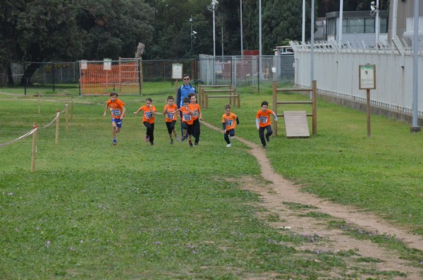 Trofeo Arancini Podistica Solidarietà  (29/10/2017) 00051