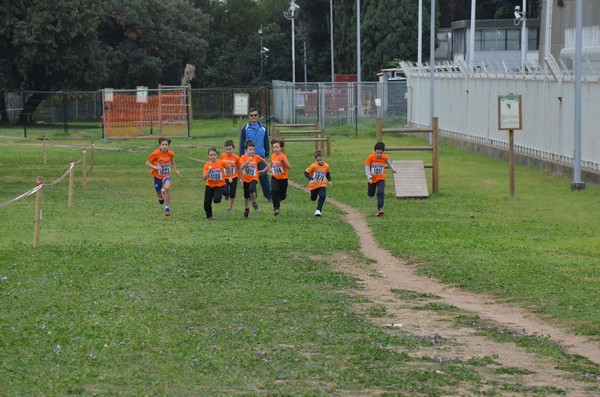 Trofeo Arancini Podistica Solidarietà  (29/10/2017) 00053