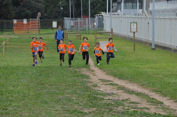 Trofeo Arancini Podistica Solidarietà  (29/10/2017) 00054