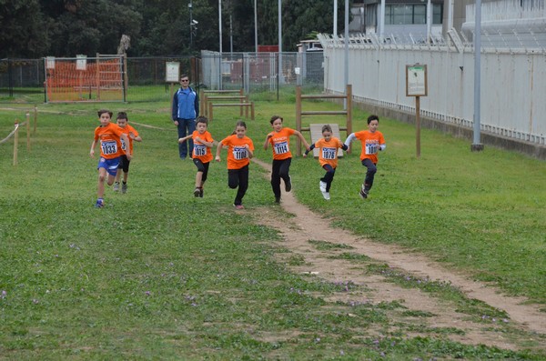 Trofeo Arancini Podistica Solidarietà  (29/10/2017) 00055