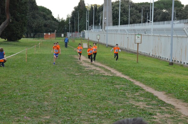 Trofeo Arancini Podistica Solidarietà  (29/10/2017) 00058