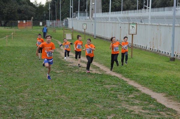 Trofeo Arancini Podistica Solidarietà  (29/10/2017) 00059