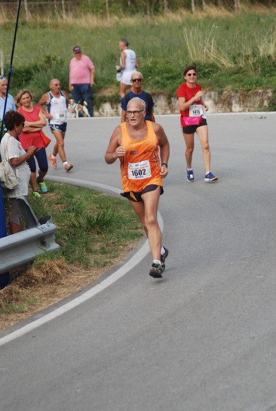 Amatrice Configno  [TOP] [CE] (20/08/2017) 00105