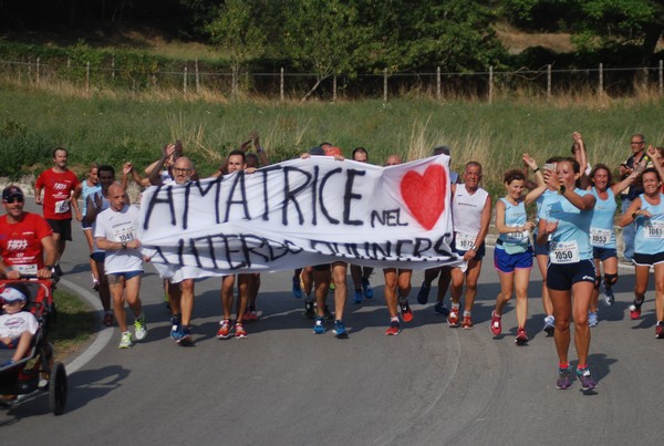 Amatrice Configno  [TOP] [CE] (20/08/2017) 00115