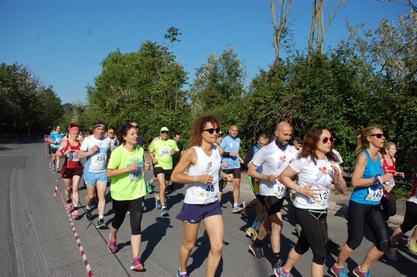 Roma 3 Ville Run [TOP] (25/04/2017) 00174