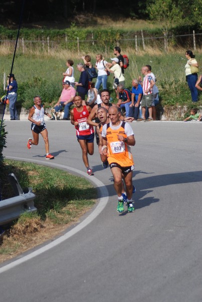 Amatrice Configno  [TOP] [CE] (20/08/2017) 00045