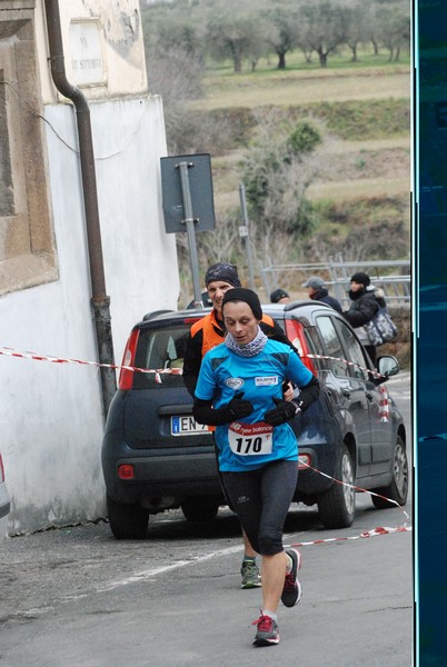 Maratonina dei Tre Comuni (TOP) (22/01/2017) 00096