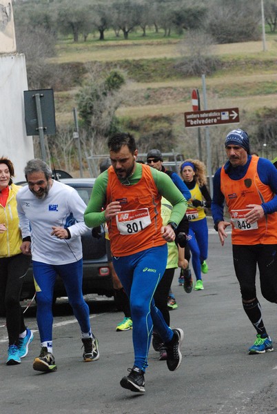 Maratonina dei Tre Comuni (TOP) (22/01/2017) 00106