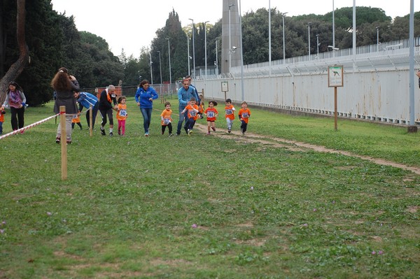 Trofeo Arancini Podistica Solidarietà  (29/10/2017) 00012