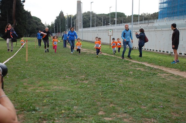 Trofeo Arancini Podistica Solidarietà  (29/10/2017) 00015