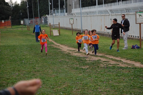 Trofeo Arancini Podistica Solidarietà  (29/10/2017) 00022