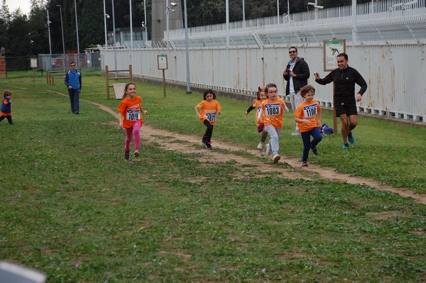 Trofeo Arancini Podistica Solidarietà  (29/10/2017) 00023