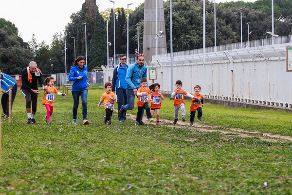 Trofeo Arancini Podistica Solidarietà  (29/10/2017) 0062