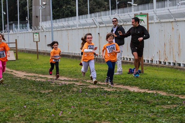 Trofeo Arancini Podistica Solidarietà  (29/10/2017) 0082