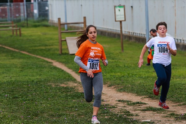 Trofeo Arancini Podistica Solidarietà  (29/10/2017) 0130