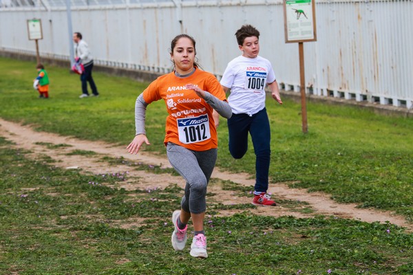 Trofeo Arancini Podistica Solidarietà  (29/10/2017) 0131