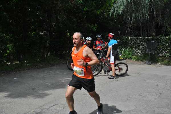 Maratonina di Villa Adriana (C.C.) (27/05/2018) 00050