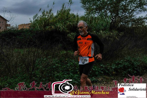 Maratonina di S.Alberto Magno [TOP] (16/11/2019) 00084