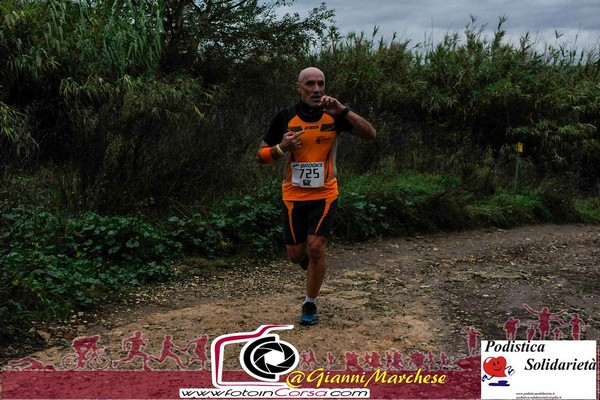 Maratonina di S.Alberto Magno [TOP] (16/11/2019) 00050