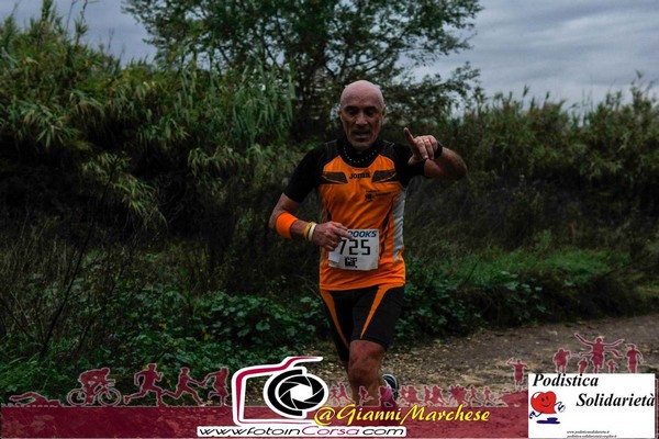 Maratonina di S.Alberto Magno [TOP] (16/11/2019) 00053