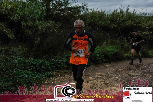 Maratonina di S.Alberto Magno [TOP] (16/11/2019) 00075