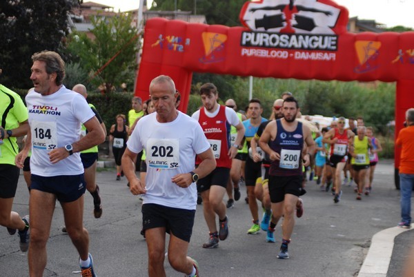 Corsa del S.S. Salvatore - Trofeo Fabrizio Irilli  [C.C.R.] (08/09/2019) 00051