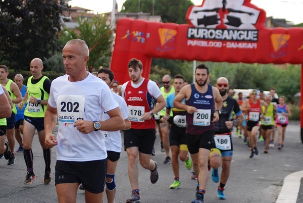 Corsa del S.S. Salvatore - Trofeo Fabrizio Irilli  [C.C.R.] (08/09/2019) 00052