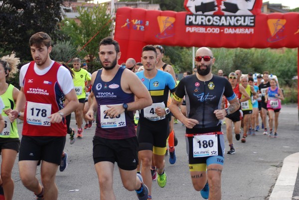 Corsa del S.S. Salvatore - Trofeo Fabrizio Irilli  [C.C.R.] (08/09/2019) 00054