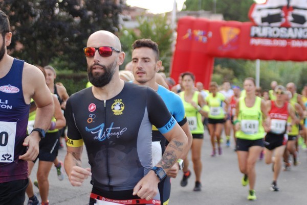 Corsa del S.S. Salvatore - Trofeo Fabrizio Irilli  [C.C.R.] (08/09/2019) 00056