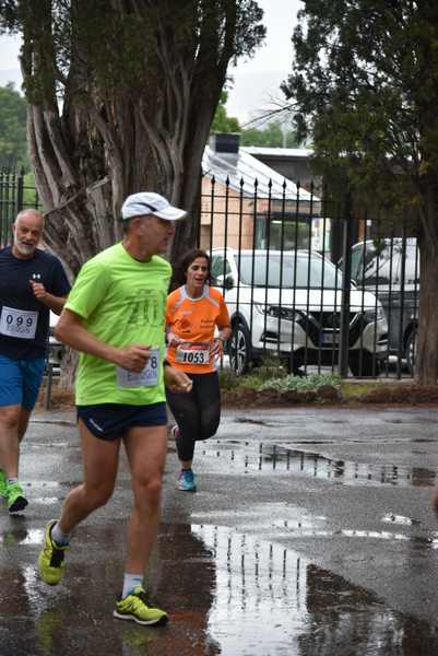 Maratonina di Villa Adriana [TOP] [C.C.R.]  (19/05/2019) 00166