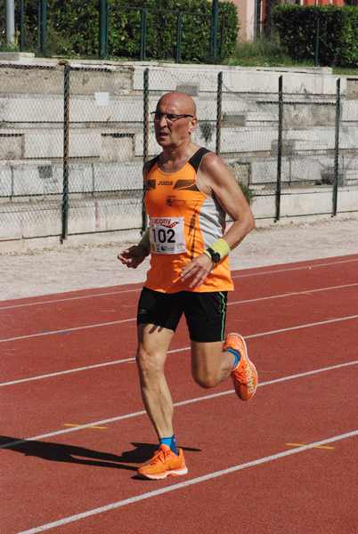 Roma 3 Ville Run [TOP] [GOLD] (25/04/2019) 00070