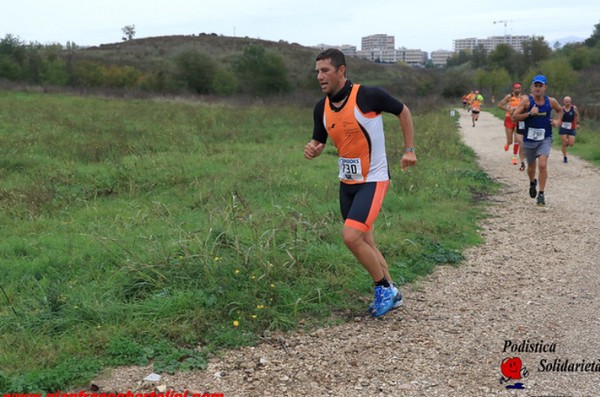 Maratonina di S.Alberto Magno [TOP] (16/11/2019) 00004