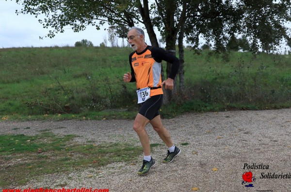 Maratonina di S.Alberto Magno [TOP] (16/11/2019) 00060