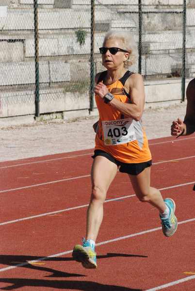 Roma 3 Ville Run [TOP] [GOLD] (25/04/2019) 00055