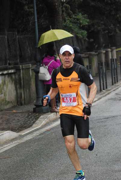 La Panoramica Half Marathon [TOP][C.C.] (03/02/2019) 00084