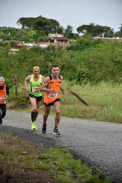 Maratonina di Villa Adriana [TOP] [C.C.R.]  (19/05/2019) 00088