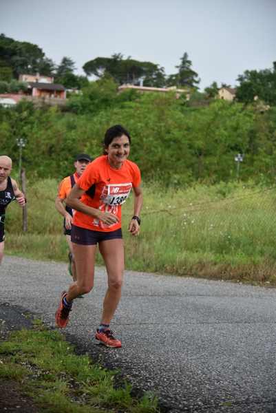Maratonina di Villa Adriana [TOP] [C.C.R.]  (19/05/2019) 00104