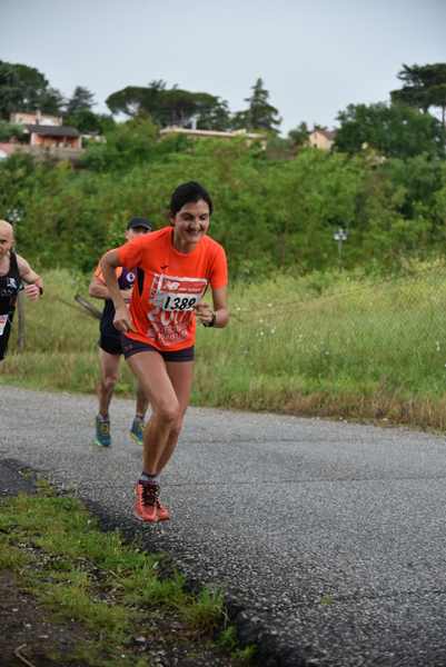 Maratonina di Villa Adriana [TOP] [C.C.R.]  (19/05/2019) 00105